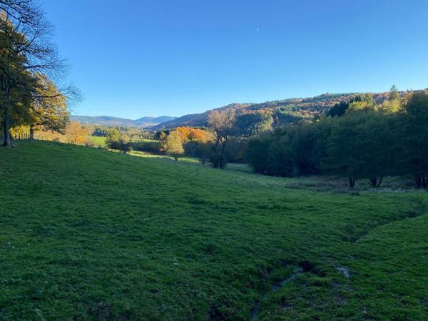 Corps de ferme 6 pièce(s) 350 m2 environ + terrain 27ha avec sources + dépendances