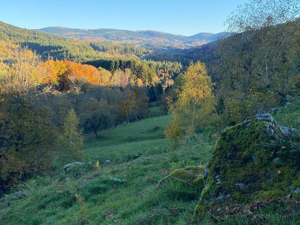 Corps de ferme 6 pièce(s) 350 m2 environ + terrain 27ha avec sources + dépendances