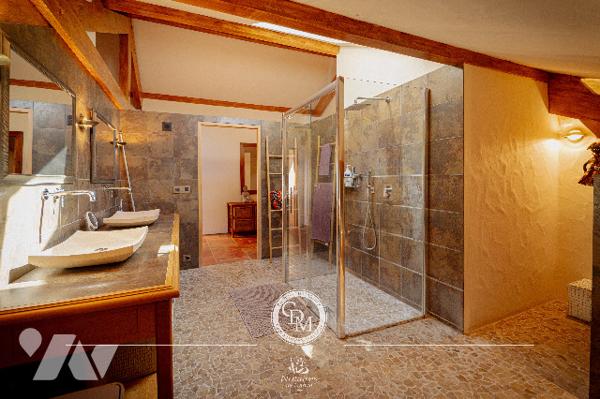 COUP DE COEUR - CHESSENAZ– environ 309 m²