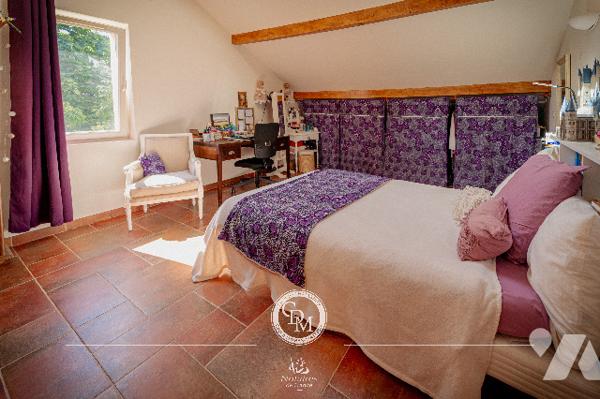 COUP DE COEUR - CHESSENAZ– environ 309 m²