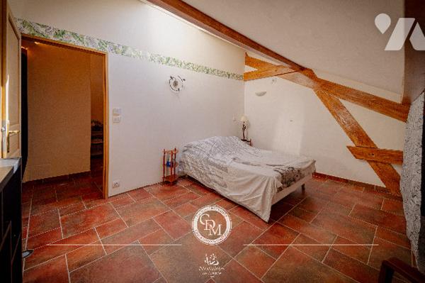 COUP DE COEUR - CHESSENAZ– environ 309 m²