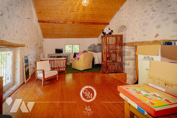 COUP DE COEUR - CHESSENAZ– environ 309 m²