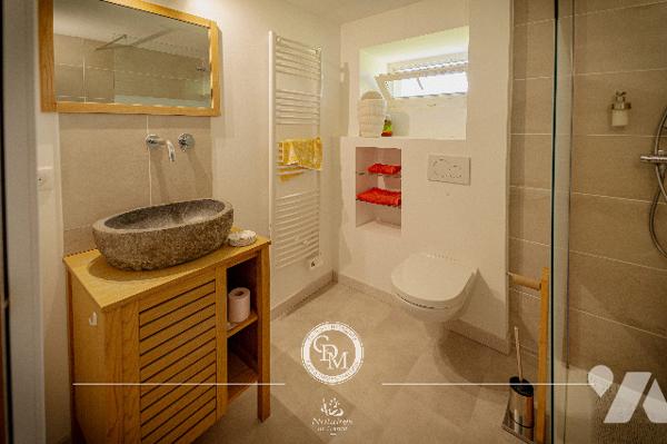COUP DE COEUR - CHESSENAZ– environ 309 m²