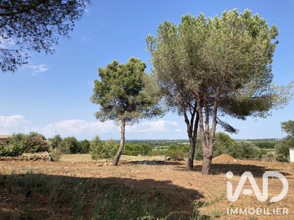 Terrain à vendre 602 m² Portiragnes
