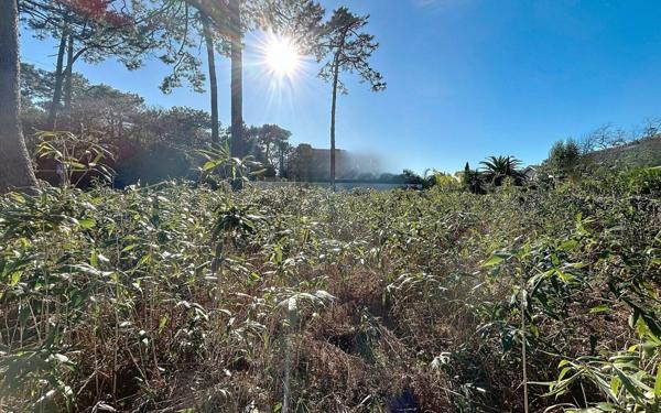 Terrain à vendre    Anglet