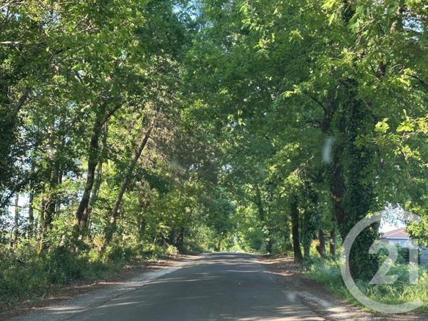 Maison à vendre  3 pièces - 70,10 m2 BIGANOS - 33