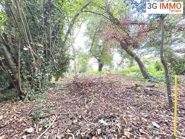 Vente / Terrain constructible