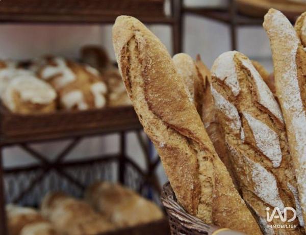 Boulangerie à vendre 350 m² Trieux
