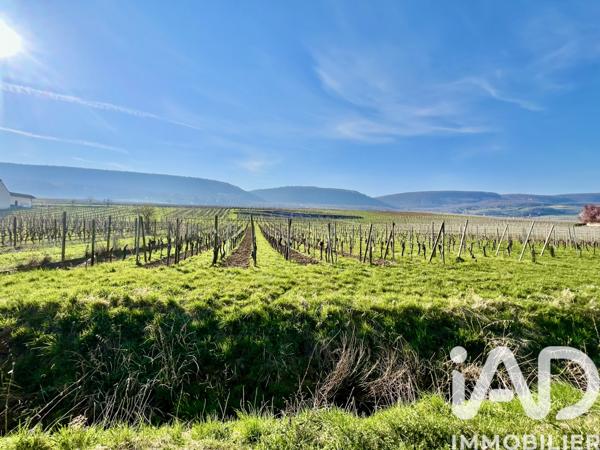 Terrain à vendre 1 205 m² Pfaffenheim