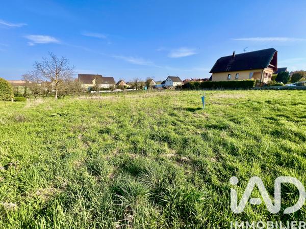 Terrain à vendre 1 205 m² Pfaffenheim