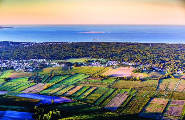 Propriété comprenant une maison principale d'habitation et 3 gites indépendants