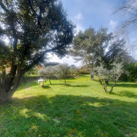 Châteaurenard (13160) Villa plain-pied + dépendance 235 m2 avec piscine sur 2621 m2 de terrain