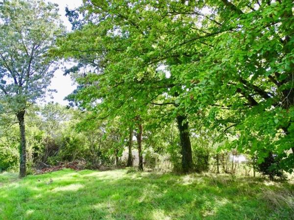 Vente / Terrain constructible