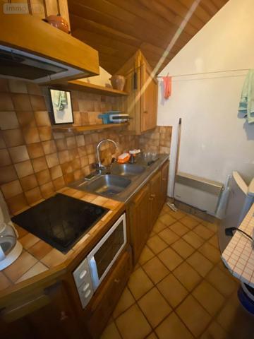 Maison à vendre à Pleaux dans le Cantal (15700), ref : 15060/1176