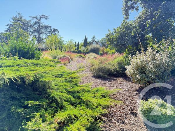 Maison à vendre  5 pièces - 160 m2 BOUCHEMAINE - 49