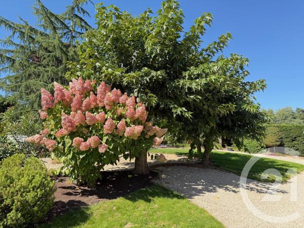 Maison à vendre  5 pièces - 160 m2 BOUCHEMAINE - 49