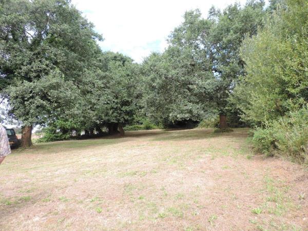 Maison à vendre à La Chapelle-Neuve dans les Côtes-d'Armor (22160), ref : 22069-1882