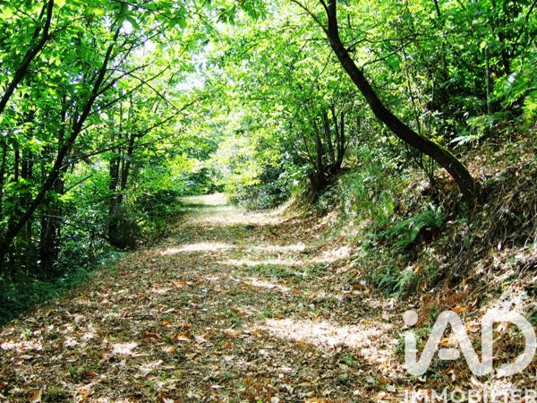 Maison à vendre 5 pièces 140 m² Le Vigan