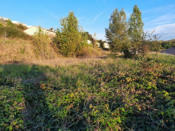 Terrain à batir sur la commune de Monclar De Quercy !