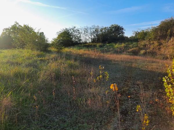 Terrain à batir sur la commune de Monclar De Quercy !