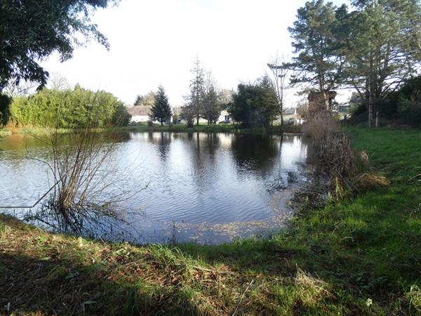 Maison dans un parc avec étang