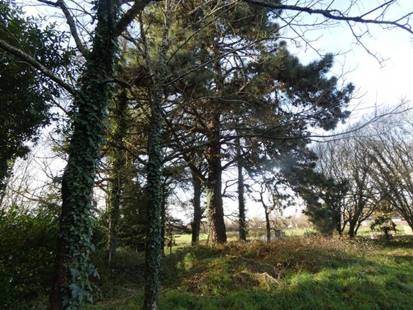 Maison dans un parc avec étang