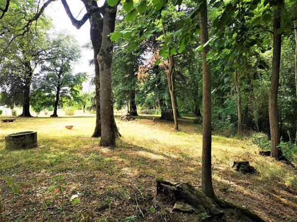 Vente Ferme 11 pièces 403 m2 à Saint-Juéry