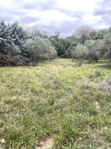 Achat vente Terrain constructible Clermont l'Hérault