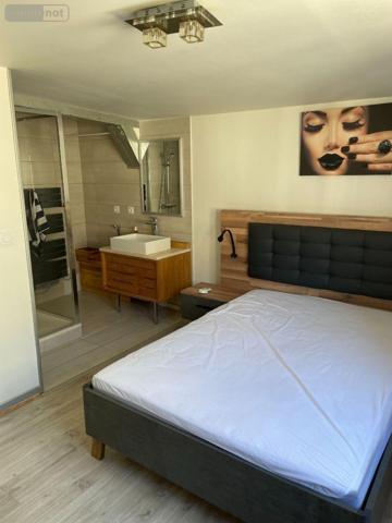 Appartement meublé à louer à Troyes dans l'Aube (10000), ref : 10010/409   
rue Emile Zola