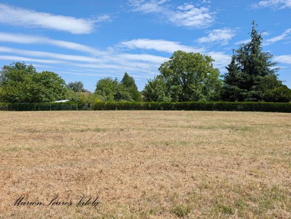 TERRAIN DE LOISIRS 2 930 m² à SAINT-BRICE, AUX PORTES DE PROVINS (77160)
