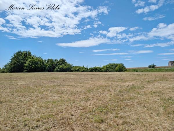 TERRAIN DE LOISIRS 2 930 m² à SAINT-BRICE, AUX PORTES DE PROVINS (77160)