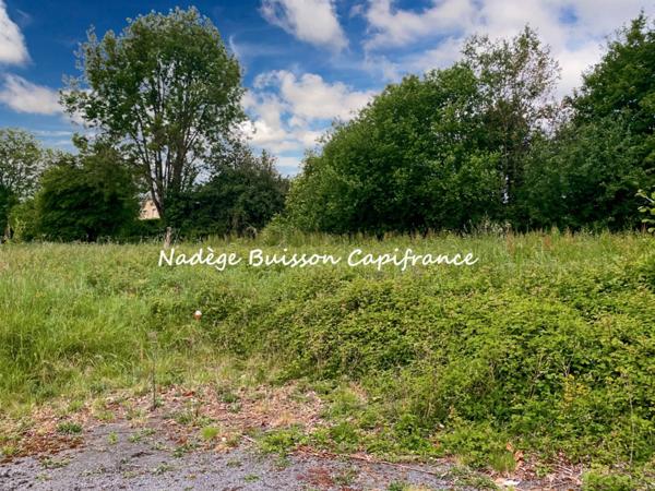 À vendre – Terrain d’exception de 2 141 m² à GONNEVILLE SUR MER (secteur classé)