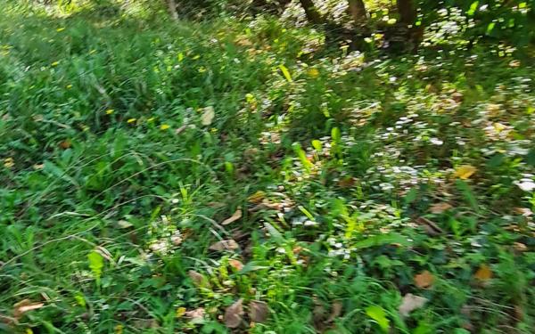 Maison à vendre    4 pièces • 94 m2 Agen