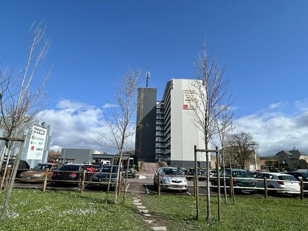 BUREAUX à LOUER de 244 m²