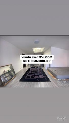 3%.COM - Appartement F2 centre ville Haguenau avec cave - vendu loué  Haguenau (67500)