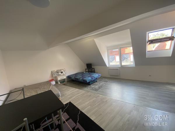 3%.COM - Appartement F2 centre ville Haguenau avec cave - vendu loué  Haguenau (67500)