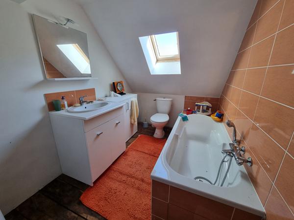 Manoir fin 17ème siècle et 5 maisons en location à vendre à LIFFRE, environ 800m² de superficie (400m² manoir et 406m² de logements locatifs), 11 hectares de parcelle.