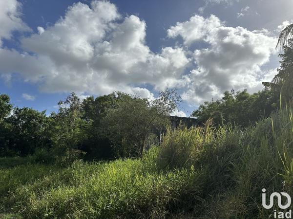 Maison 5 pièces de 103 m² à Le Moule (97160)