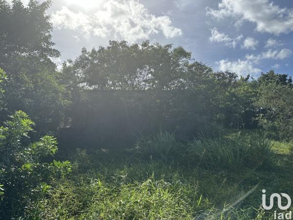 Maison 5 pièces de 103 m² à Le Moule (97160)