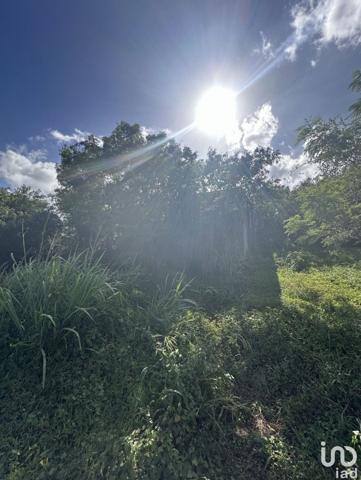 Maison 5 pièces de 103 m² à Le Moule (97160)