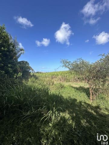 Maison 5 pièces de 103 m² à Le Moule (97160)