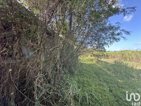 Maison 5 pièces de 103 m² à Le Moule (97160)