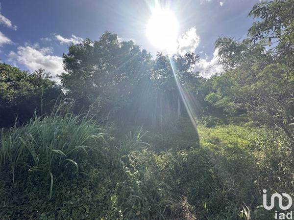 Maison 5 pièces de 103 m² à Le Moule (97160)