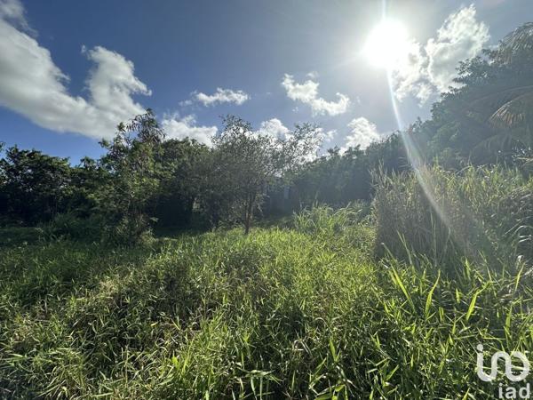 Maison 5 pièces de 103 m² à Le Moule (97160)