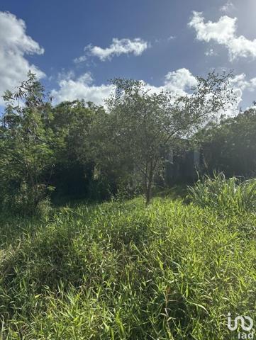 Maison 5 pièces de 103 m² à Le Moule (97160)