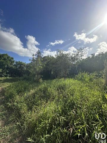 Maison 5 pièces de 103 m² à Le Moule (97160)