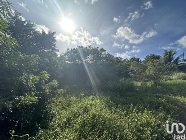 Maison 5 pièces de 103 m² à Le Moule (97160)