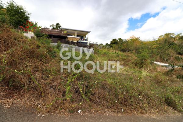 PARCELLE - CALME - 436m2