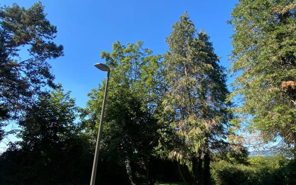 Appartement à louer    2 pièces • 56,16 m2 Saint-Étienne-de-Saint-Geoirs