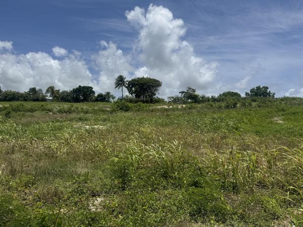 Vente / Terrain constructible